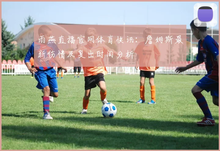 雨燕直播官网体育快讯：詹姆斯最新伤情及复出时间分析