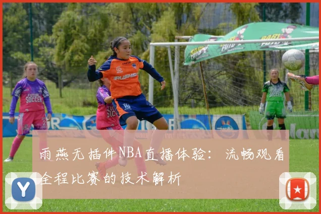 雨燕无插件NBA直播体验：流畅观看全程比赛的技术解析