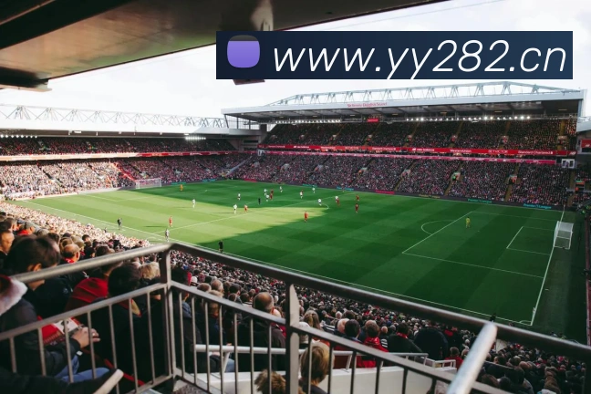 爱游戏唯一官方平台品牌故事